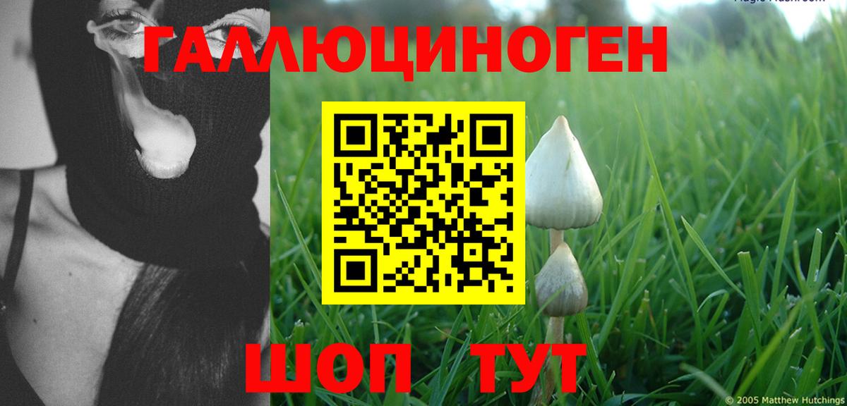 Псилоцибиновые грибы Psilocybe  Вход с VPN  где можно купить наркотик  Саяногорск 