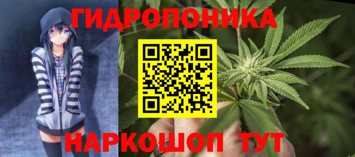 Бошки Шишки LSD WEED  Вход с VPN  Шишки марихуана план  МАРИХУАНА индика  Саяногорск 